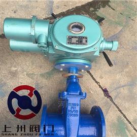 Z945X電(diàn)動彈性座封閘閥