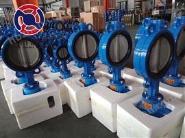 QB電(diàn)動中線軟密封蝶閥